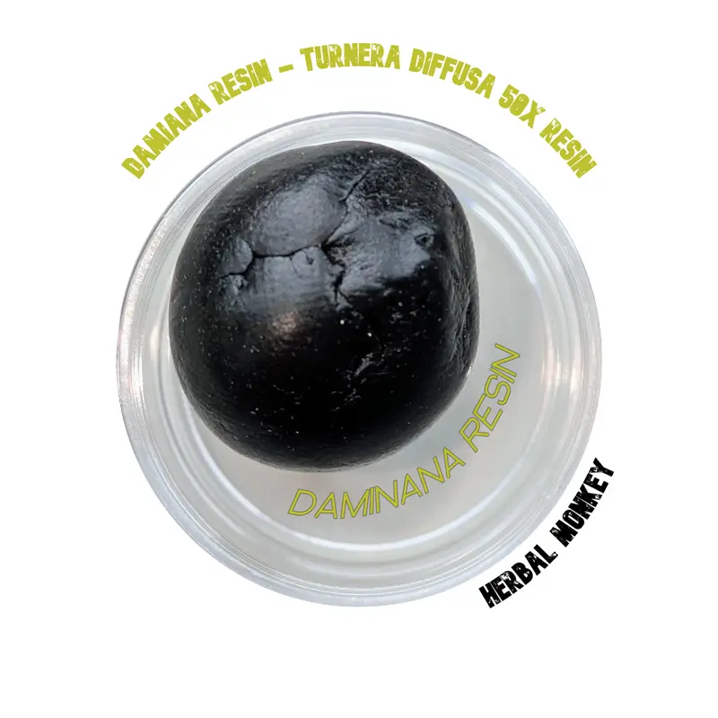Damiana Resin 50X – Turnera diffusa | Ceremonial Botanical Extract for Ritual & Emotional Balance
