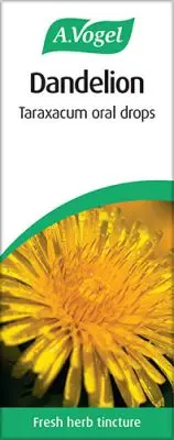 Dandelion