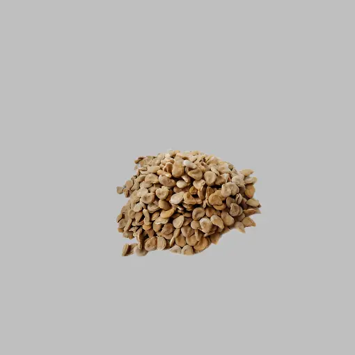 DHATURA BEEJ LAAL – BEEJ DHATURA RED 50g