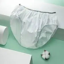Disposable Men's Underwear - 5 Pack