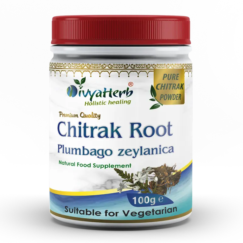 DivyaHerb Chitrak Root Powder 100 gram - Daily Wellness Support