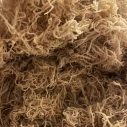 Dried Golden Seamoss (Jamaican)