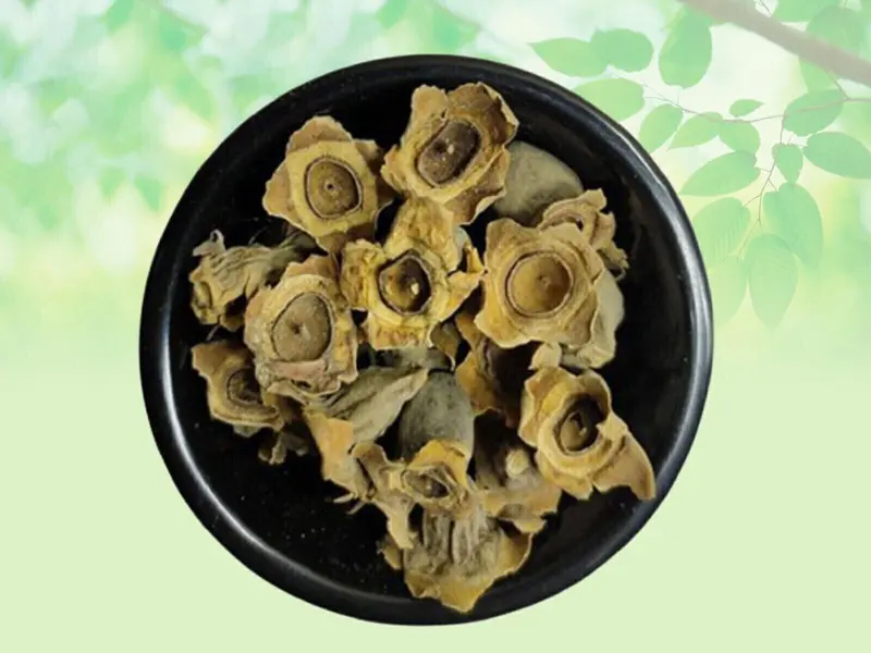 Dried Vakumbha, Bay Khumba-Careya Arborea Kumbhi Baikhumba 50g