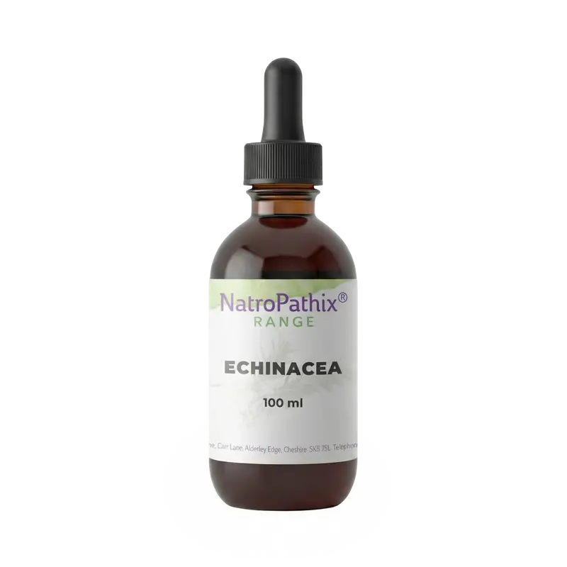 Echinacea angustifolia - 100ml