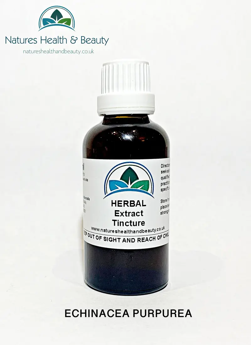 Echinacea Purpurea Herbal Tincture