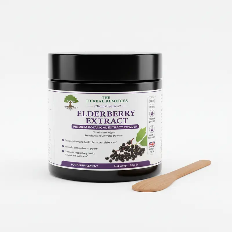Elderberry Extract (Sambucus nigra) | Advanced Immune Support & Antioxidant Complex