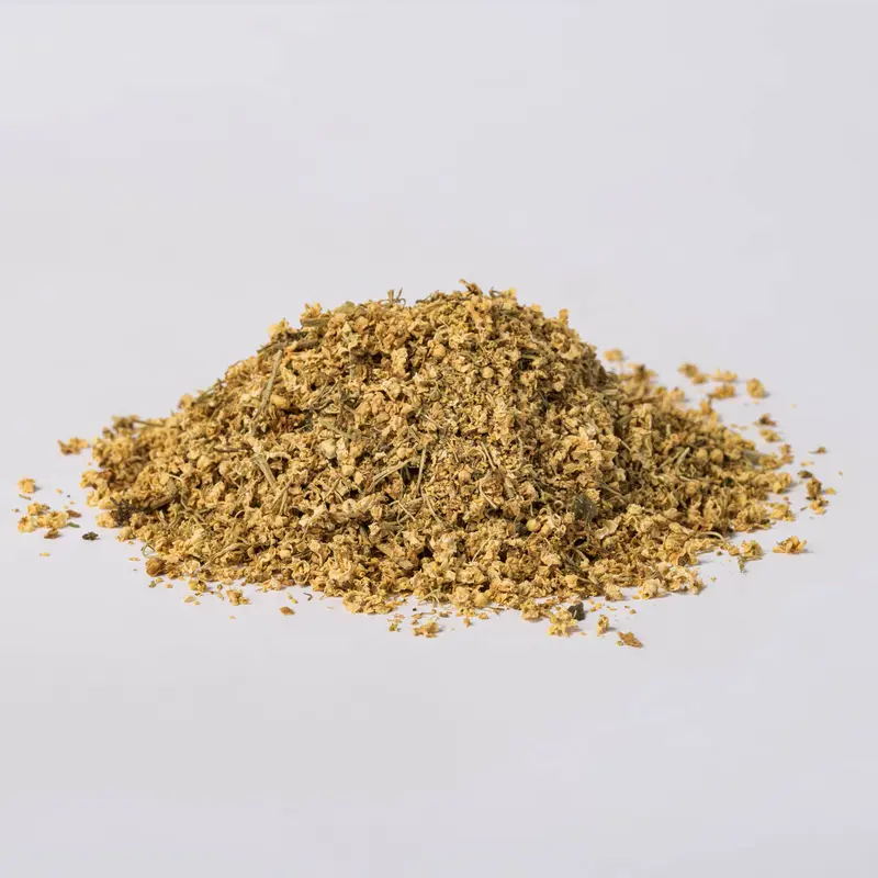 Elderflowers (Sambucus nigra)