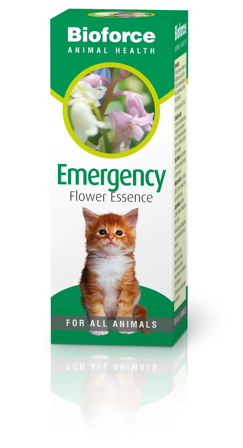 Emergency Essence