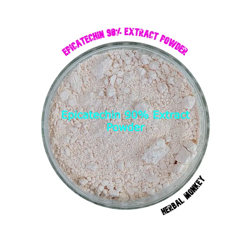 Epicatechin Extract Powder – 90% | Premium Botanical Extract