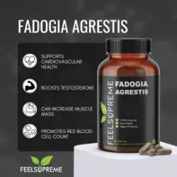 Fadogia Agrestis Capsules