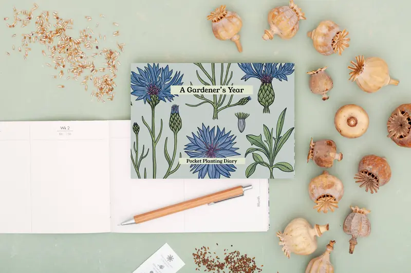 Gardener's Diary - Vintage Cornflower