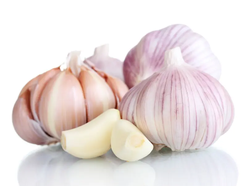 Garlic (Allium sativum)