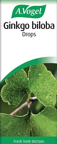 Ginkgo Biloba