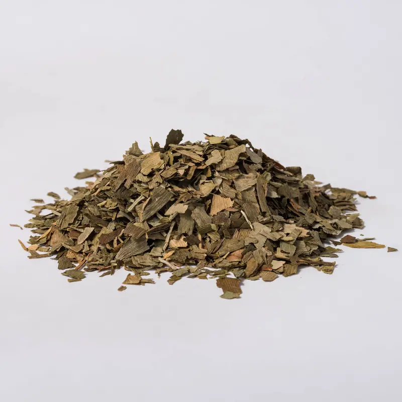 Ginkgo Herb (Ginkgo biloba)