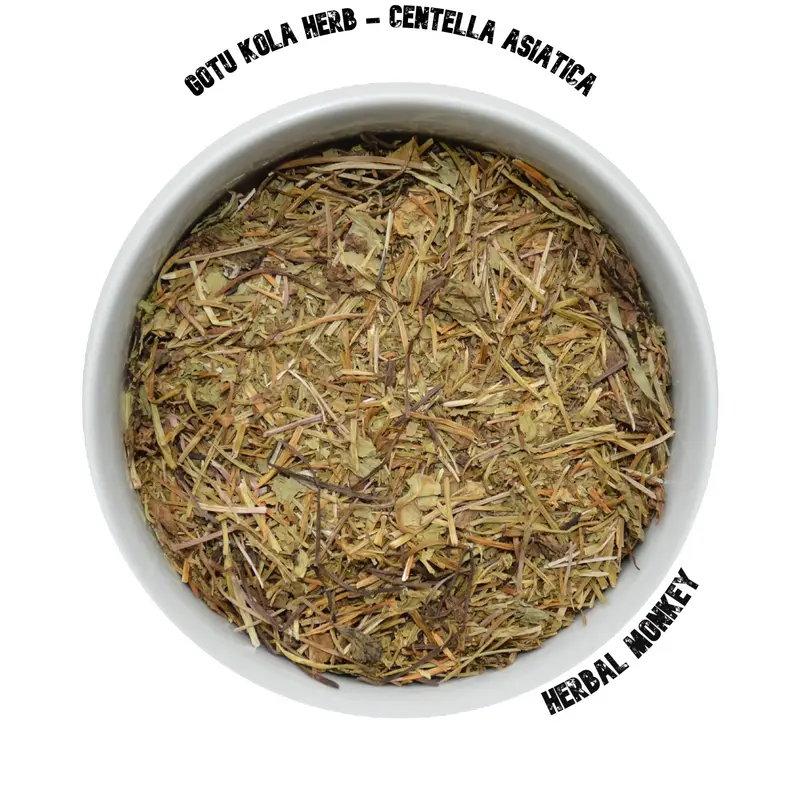 Gotu Kola Herb | Centella Asiatica | Premium Botanical | Indian Pennywort