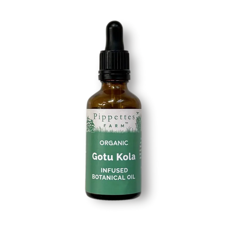 Gotu Kola Oil - Organic
