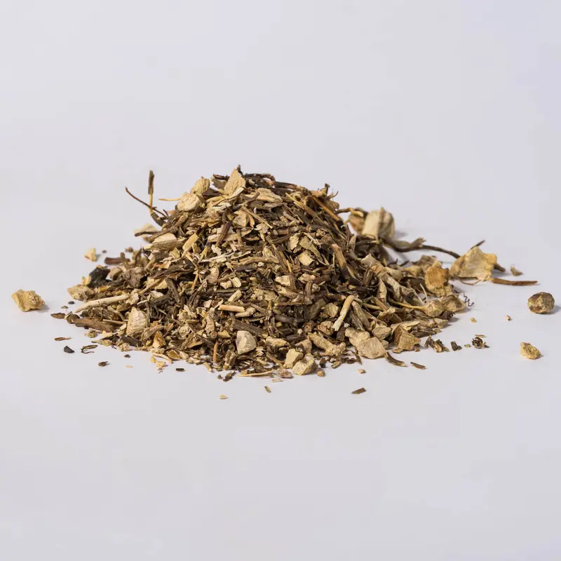 Gravel Root (Eupatorium purpureum)