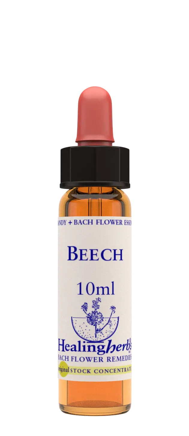 Healing Herbs Beech Flower Remedy