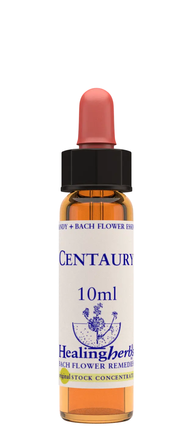 Healing Herbs Centaury Flower Remedy