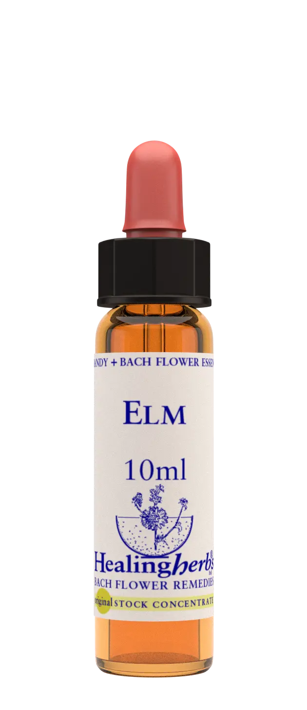 Healing Herbs Elm Flower Remedy