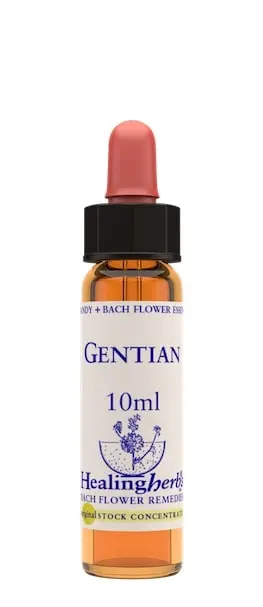Healing Herbs Gentian Flower Remedy
