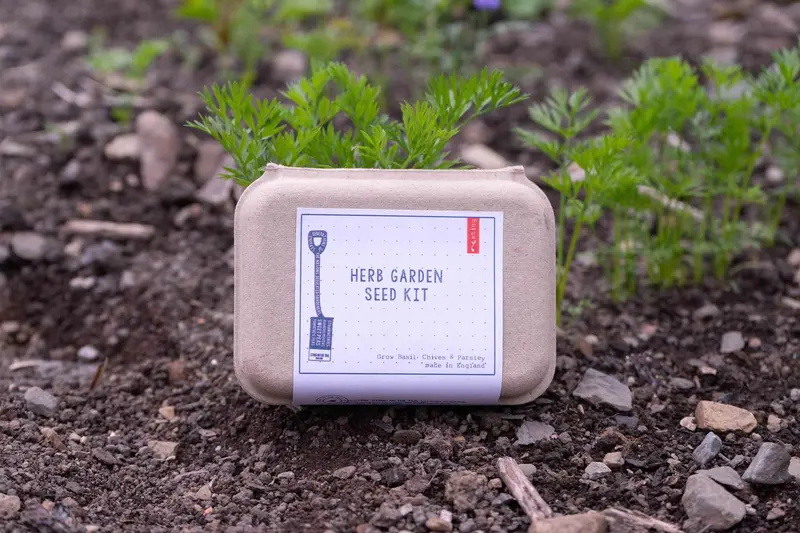 Herb Garden Seed Kit | Grow | Attract | Gardening