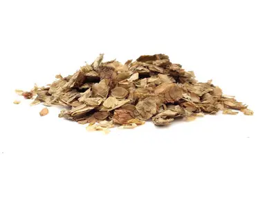 Hops / Humulus lupulus Herb