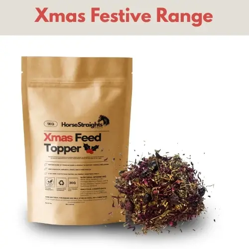 HorseStraightsDirect Xmas Tasty Topper