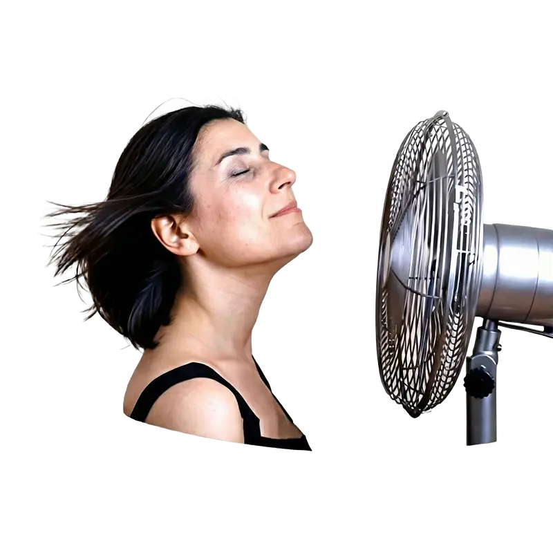 Hot Flushes and Anxiety Combination