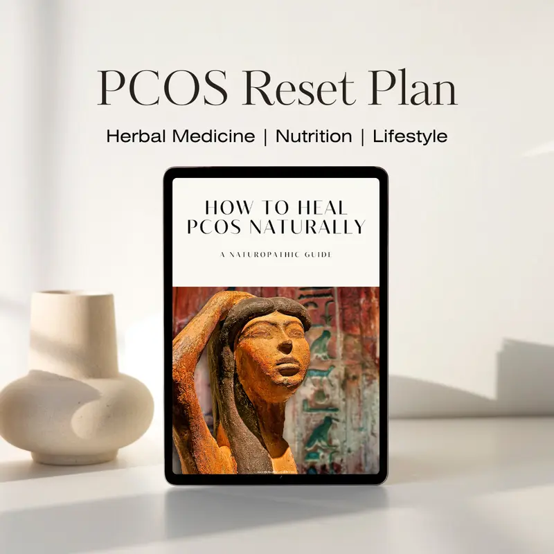 How to Heal PCOS Naturally | A 6-Month Naturopathic Wellness Guide