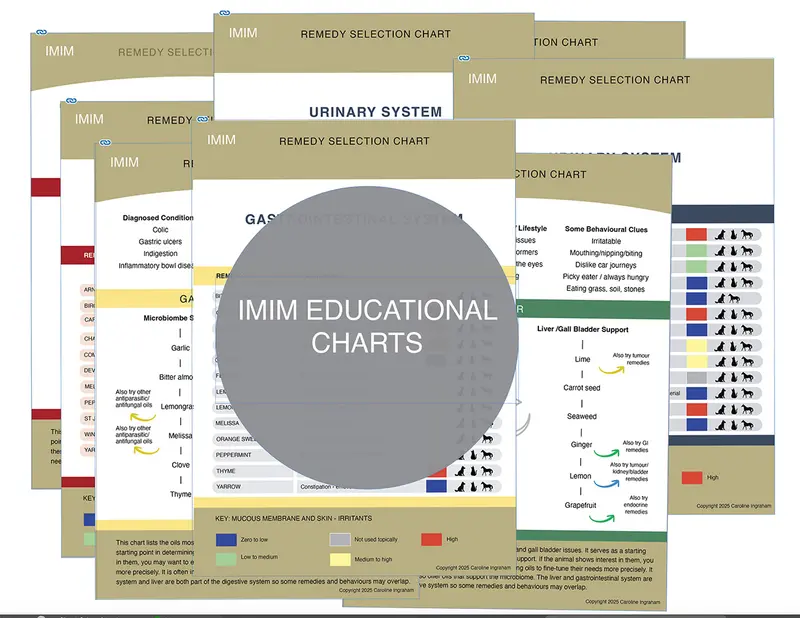 IMIM Educational Charts