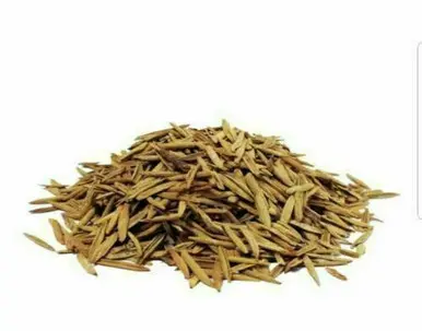 Indrajav Anderjav Whole Raw Herbal Seed Holarrhena Conesi Seeds 100g