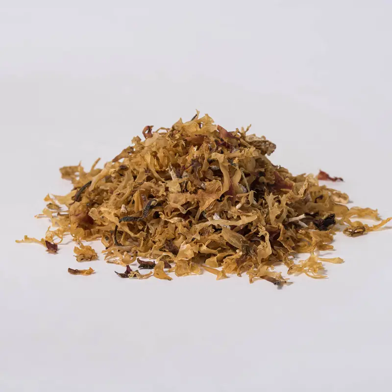 Irish Moss (Chondrus crispus)