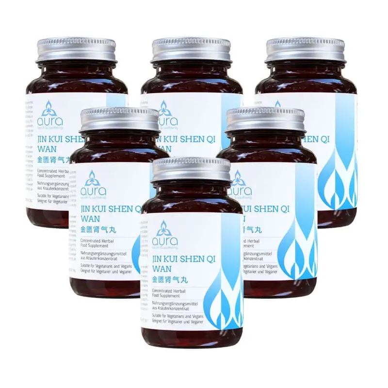 Jin Gui Shen Qi Wan (Rehmannia & Dogwood Fruit) - 6 x 60 tablets