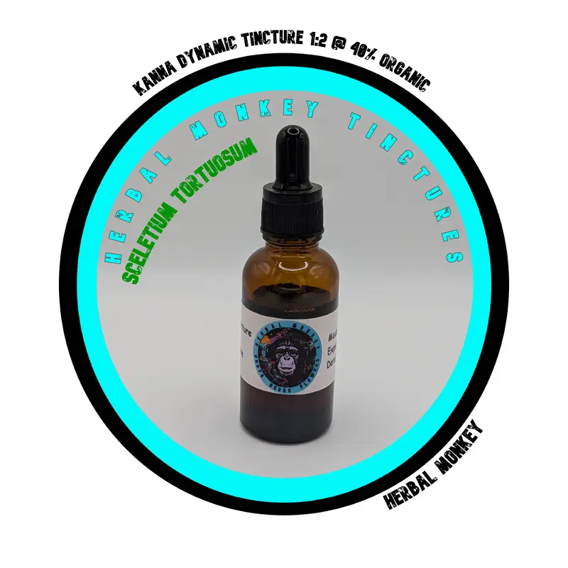 Kanna Dynamic Tincture – 1
