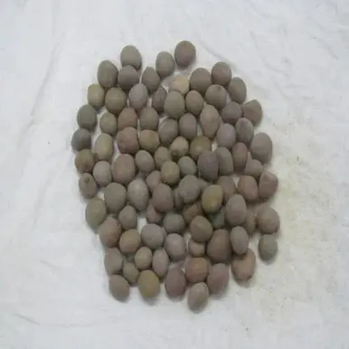Karanjwa (Karanj / Indian Beech), Joint pain  Swelling  Skin inflammation