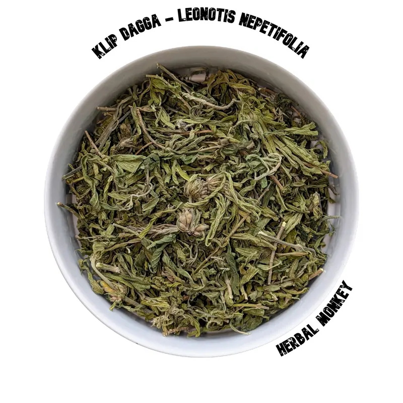 Klip Dagga – Leonotis Nepetifolia | Ceremonial Herb for Ritual Grounding