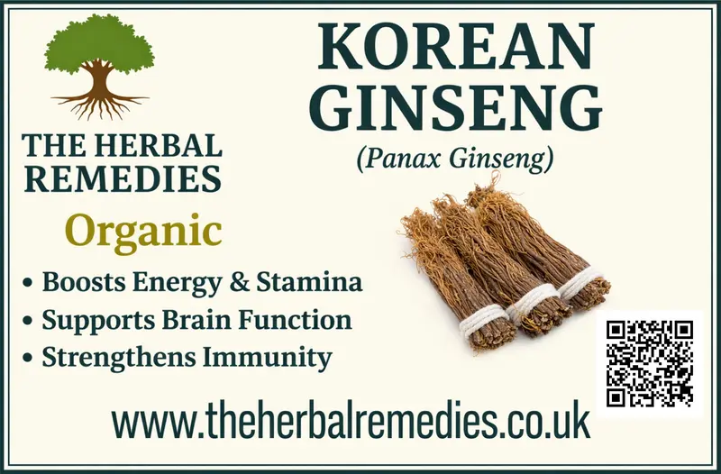Korean Ginseng (Panax Ginseng) - Natural Energy, Focus & Vitality Support