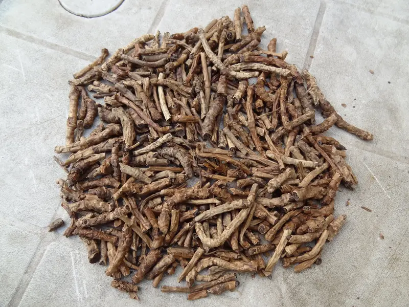 Kutki Root whole organic, it may help protect the liver from damage and support its overall health.
