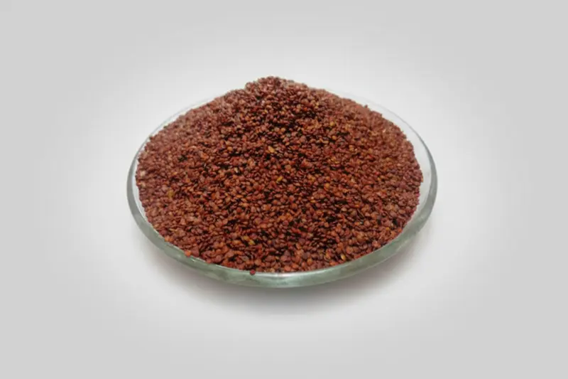 Lajwanti Seeds (Mimosa pudica / Lajjalu / Chuimui) – Whole Seeds