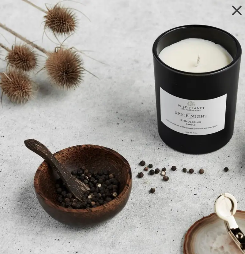 Large Candle Wild Planet Aromatherapy