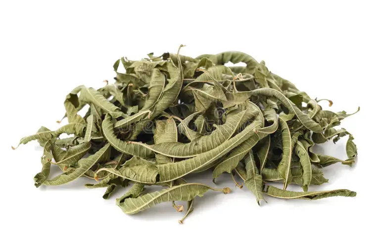 Lemon Verbena Leaf (Lippia citriodora)