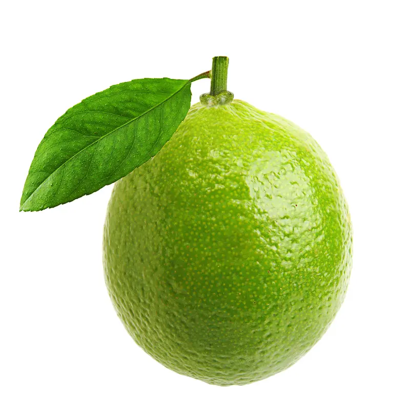 Lime (Citrus aurantifolia)