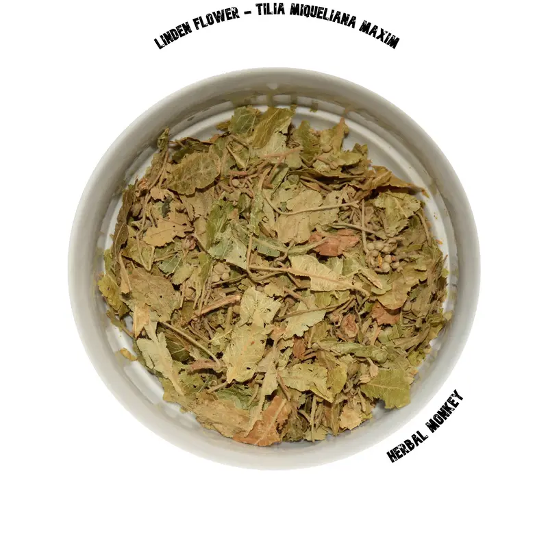 Linden Flower | Tilia Miqueliana Maxim