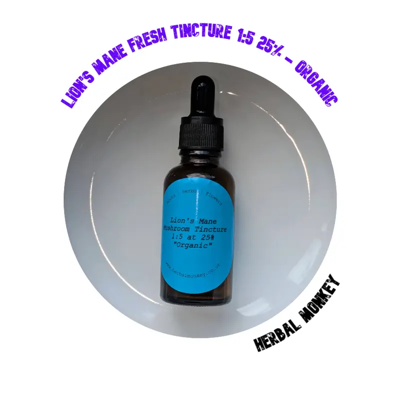 Lion's Mane Fresh Tincture 1