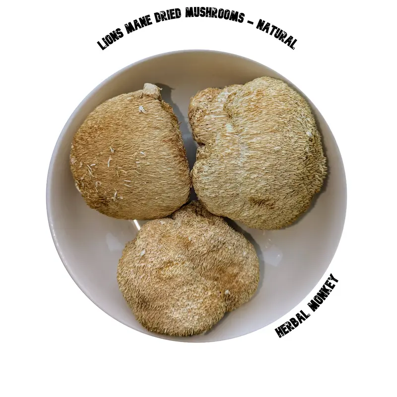 Lion’s Mane Whole Mushrooms & Powdered | Premium Botanical