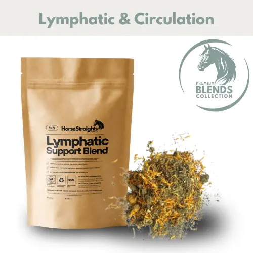 Lymphatic Support Blend