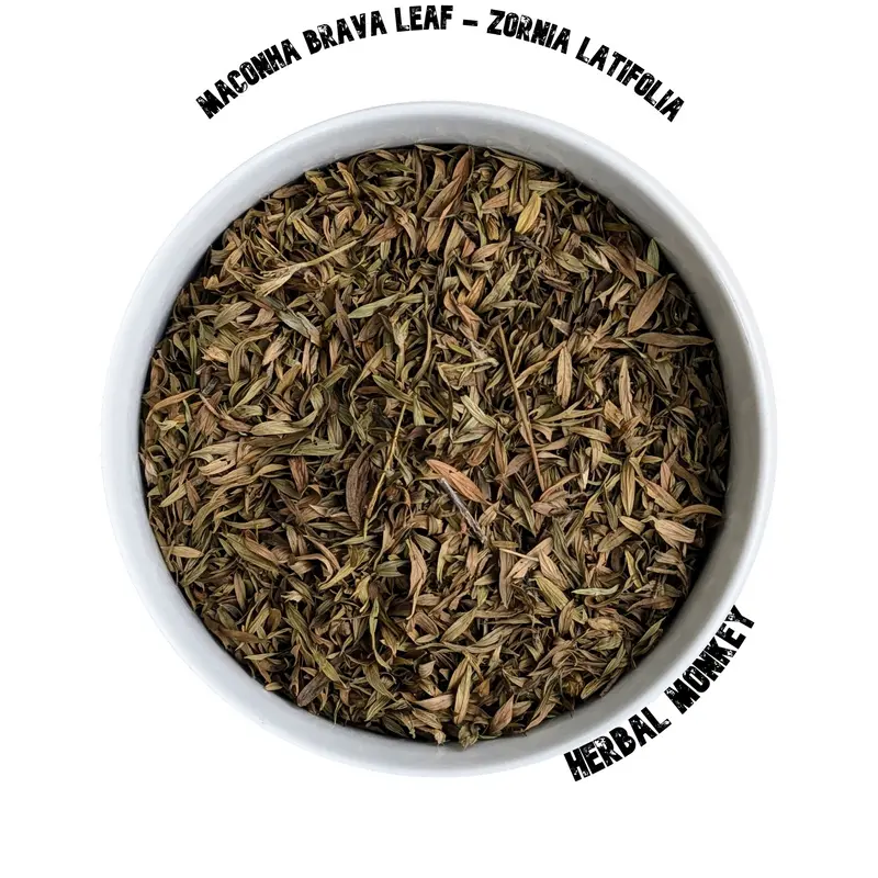Maconha Brava – Zornia latifolia | Cut Leaves for Ceremonial Dreamwork & Spiritual Calm