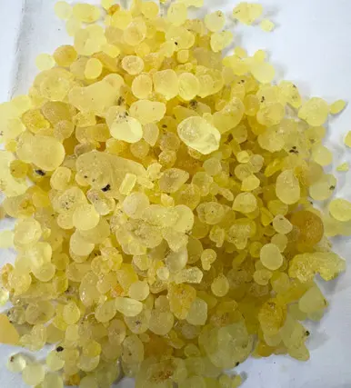 Mastic Gum, Mastagi Roomi, and Mastagi Rumi