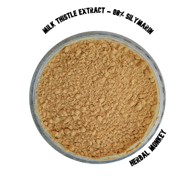 Milk Thistle Extract – 80% Silymarin | Premium Botanical